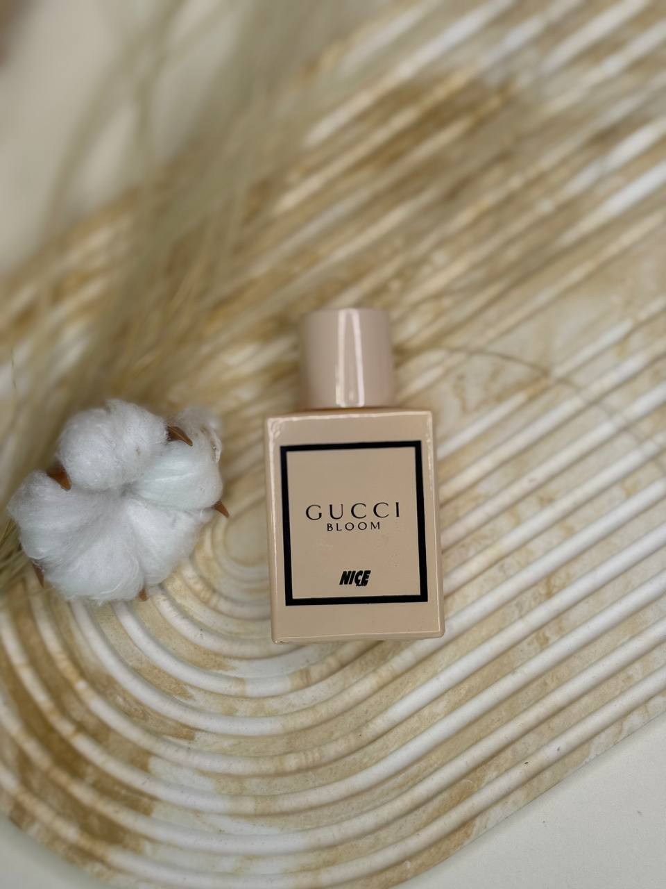 گوچی (Gucci) | نایس (Nice) — تصویر 3