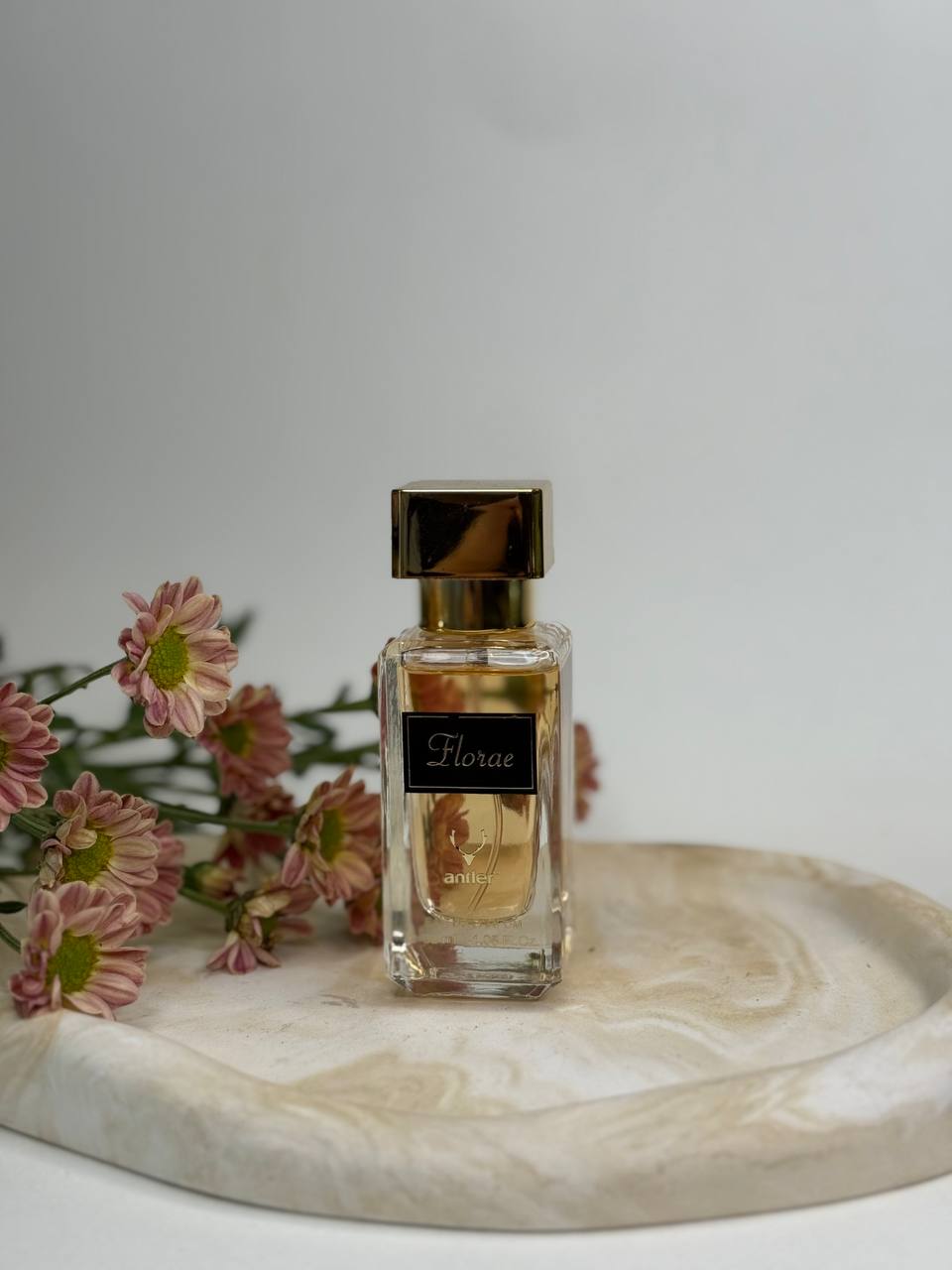 گوچی (Gucci) | انتلر (Antler) — تصویر 2