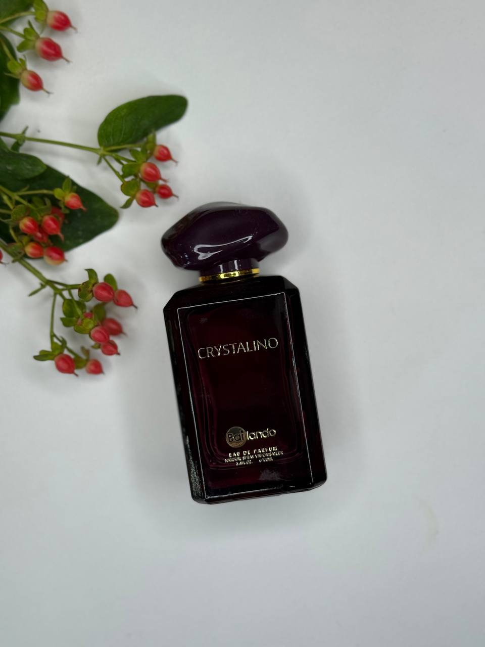 ورساچه (Versace)