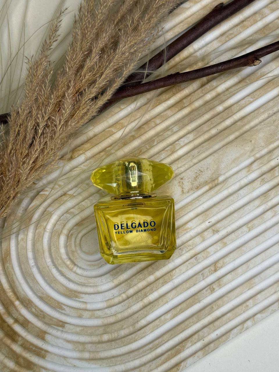 ورساچه (Versace) | دلگادو (Delgado) — تصویر 2