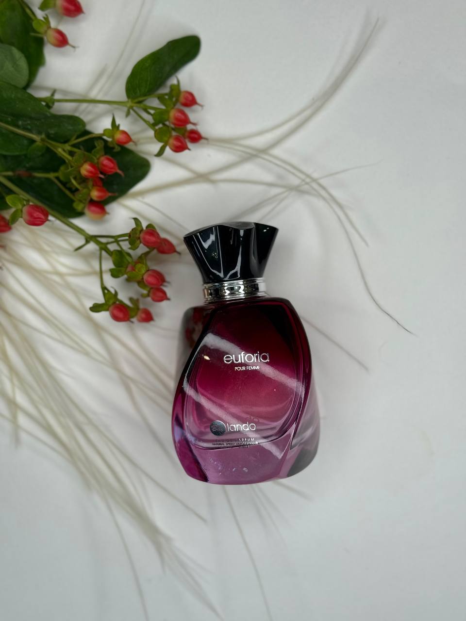 کالوین کلین (Calvin Klein)