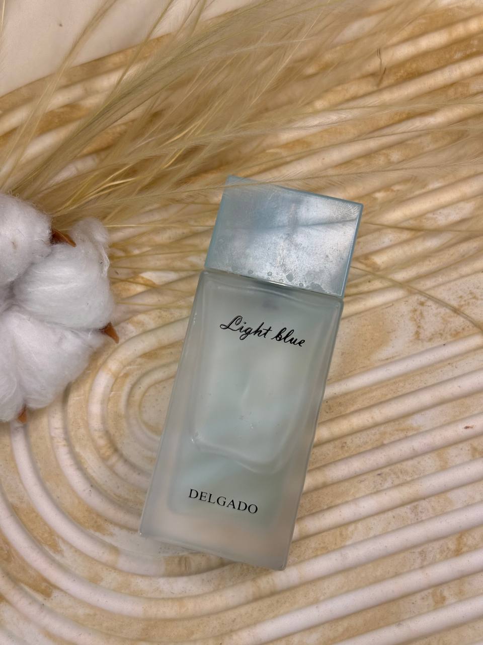 دولچه اند گابانا (Dolce & Gabbana) | دلگادو (Delgado) — تصویر 2
